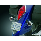 Kuryakyn Portaplacas Curvo Para Harley Davidson (multi Fit)