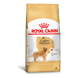 Royal Canin Golden Retriever Cães Adultos 12kg Pet