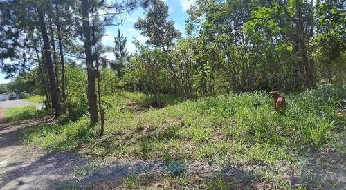 Terreno Bom E Barato - Imagen 3