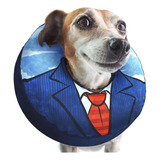 Uppys Collar De Donut Para Perros Pequeños: Alternativa Inf