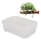 Incubadora De Reptiles Pequeños De 12 Rejillas, Caja De Eclo