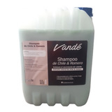 Shampoo Chile Y Romero 10 Lts