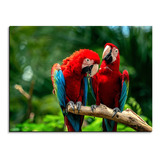 Cuadro Decorativo En Mdf De 50 * 35 Cm Fauna Loros