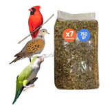 Mezcla Semillas Cardenal Tortola Cotorras Premium 1 Kg.