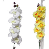 Orquídea En Vara Artificial Decoración Floral Artificial 