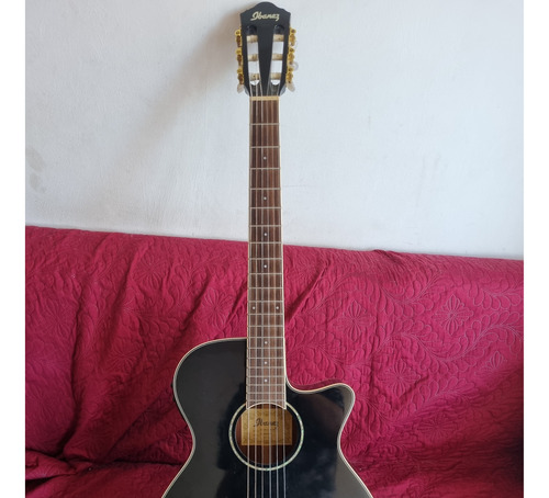 Ibanez Aeg10