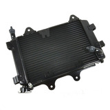 Radiador Completo Bajaj Dominar 400 Ug Original Jf601205 Um