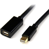 Startech.com Cable Alargador De Vídeo Mini Displayport 1.2 D