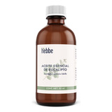 Aceite Esencial Eucalipto Puro 50 Ml, Aromaterapia, Spa