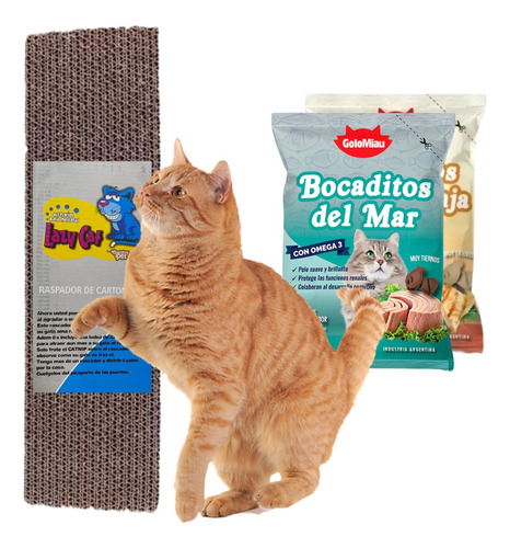 Rascador Gatos Carton Corrugado Durable + Hierba Gatera 