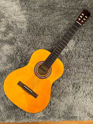 Guitarra Criolla Leonard Usada (cuerdas Para Zurdo)