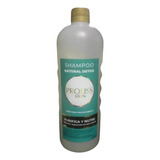 Shampoo Natural Detox - Proliss