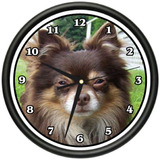 Pelo Largo Chihuahua Reloj De Pared Perro Perrito Masco...