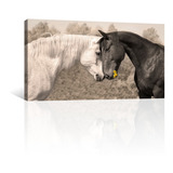 Cuadro Decorativo Lienzo Animales Canvas Caballos Conectando