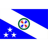 Bandeira Cidade Pederneiras  Sp-  1x1,45m