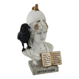 The Raven. Nevermore On Pallas Athena