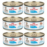 6 Latas Royal Canin Starter | 146g