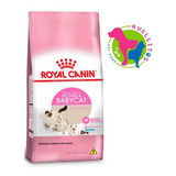 Royal Canin Gato Mother And Babycat X1.5kg- E/gratis Z/oeste