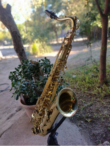Saxofón Tenor Roy Benson T-s 202 