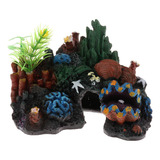 Micro Paisaje Cueva De Coral
