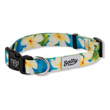 Shakas Salty Paws Boy & Girl Collar Para Perro Pequeño Media