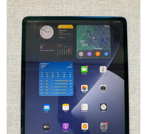 Apple iPad Pro 12.9  3rd Gen A1876 256gb Gris Espacial Usado