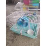 Gaiola De Hamster Simples 