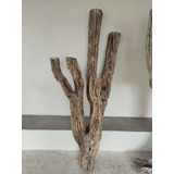 Raiz Cactus Madera Fosil Decorativo Tronco Maceta Terraza M2