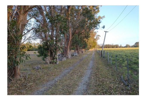 Campo En Venta En Punta Indio - 8 Has Monte-casa