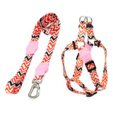 Kit Para Cachorros Grande Porte Guia + Peitoral Fine Rose