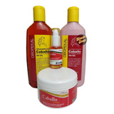 Kit Completo Shampoo + Acondicionador Sin Sal Aceite Crema