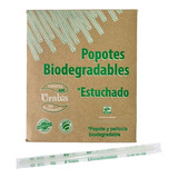 Popote Biodegradable 25 Cms Estuchado Uralva C/500 Piezas