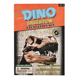 Kit Excavación Fósiles Dino