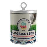 Pasto De Trigo Para Gatos, Catgrass Seeds, Mejora Digestion