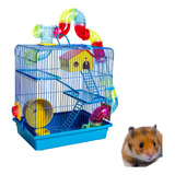 Casa De Hamster Anão Completa + Acessórios Triplex Superluxo