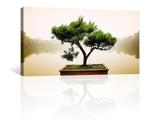 Cuadro Decorativo Zen Y Buda Canvas Arbol Bonsai Japones