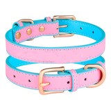 Collar Eco Cuero Bicolor Talla L Para Perros