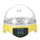 Brooders Eggs Ac110v Temperatura Do Ovo 7 Ovos Transparentes