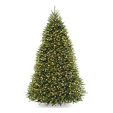 National Tree Company Dunhill - Arbol De Abeto Con 450 Luces