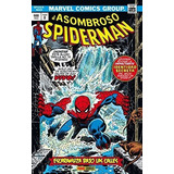 Asombroso Spiderman, El, De Wein, Len. Editorial Panini Comics, Tapa Dura En Español