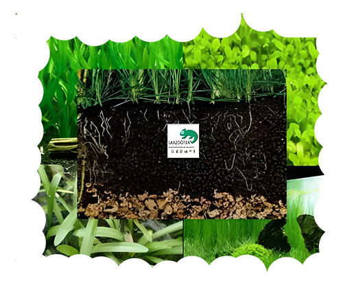 Regalado  Sustrato 100% Natural Nutritivo 6 Kg Plantas