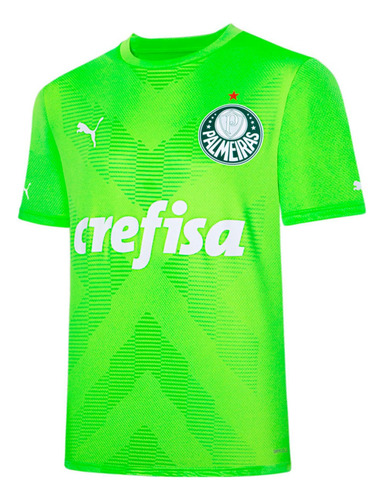 Camisa Puma Palmeiras Goleiro 2023 Of 2 Torcedor