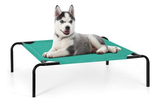 Oyeal Cama Elevada Para Perros Y Gatos, Cuna Pequena Para In