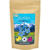 Alaska Wildflower Seed Mix Una Hermosa Colección De Doce Anu
