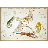 Lienzo Canvas Constelación Cygnus 1825 50x72 Astronomía