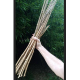 Kit 50 Varas De Bambú Tutores Plantas Cultivo Varios Largos 