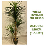 Árvore Artificial Yucca 150cm Planta Permanente (yuka)