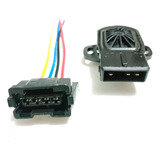 Sensor De Aceleracion Tps + Arnes Para  Atos 1.1 2005 A 2012