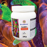 Sal Marinho Barrak Salbr+ Prebióticos Probióticos 2kg