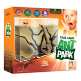 Tigerific Ant Farm For Live Ants  Colony De Hormigas Para N